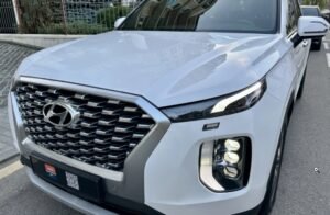 Hyundai Palisade 2022 – I покоління (FL)  •  2.2 VGT CRDi AT (200 к.с.) 4WD  •  Top